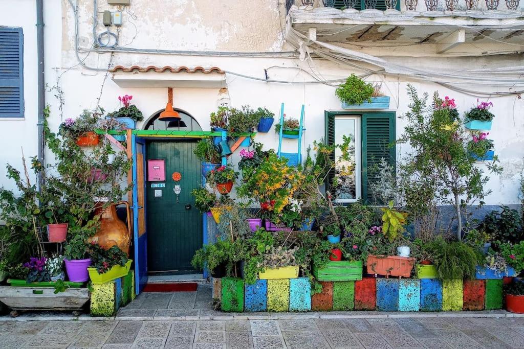 Appartement Welcome To
